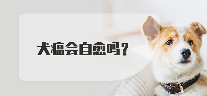 犬瘟会自愈吗？