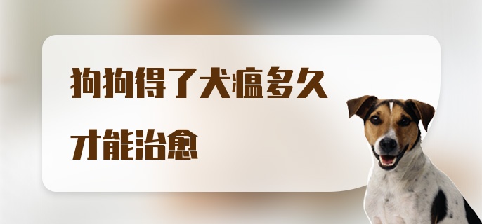 狗狗得了犬瘟多久才能治愈