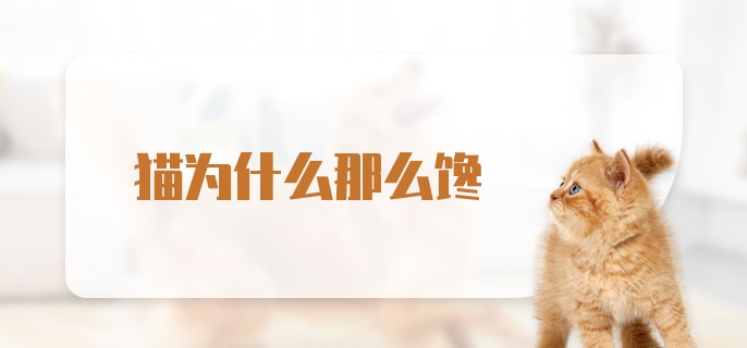 猫为什么那么馋