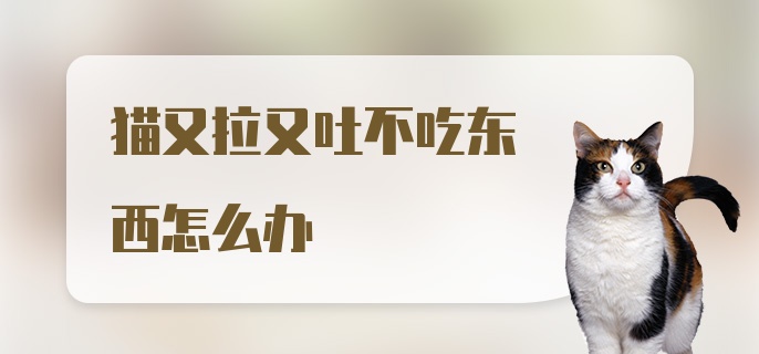 猫又拉又吐不吃东西怎么办