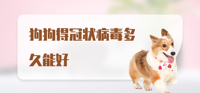 狗狗得冠状病毒多久能好