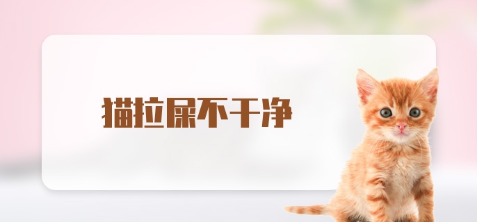 猫拉屎不干净