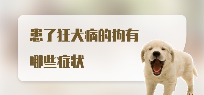 患了狂犬病的狗有哪些症状