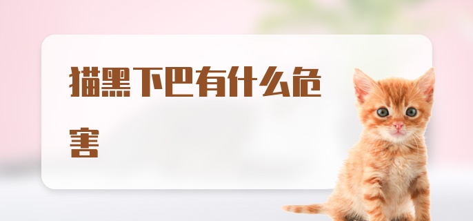 猫黑下巴有什么危害