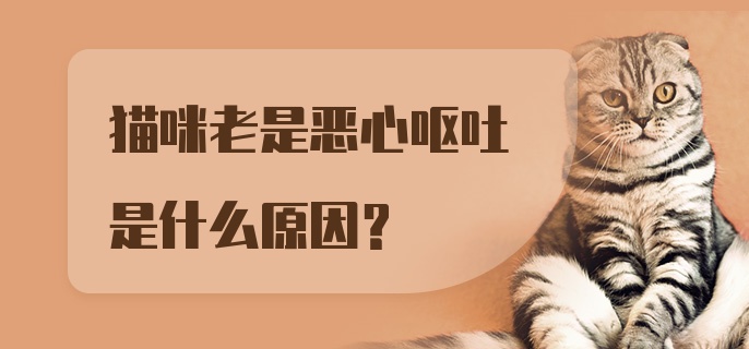 猫咪老是恶心呕吐是什么原因？