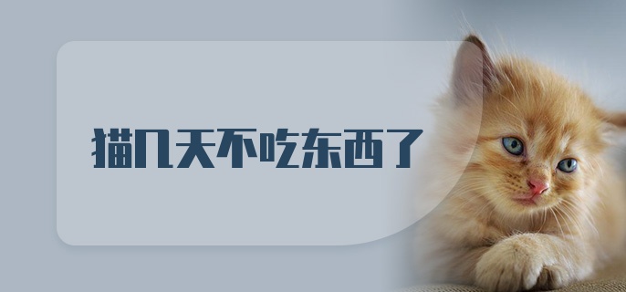 猫几天不吃东西了