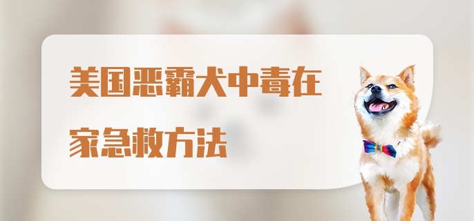 美国恶霸犬中毒在家急救方法