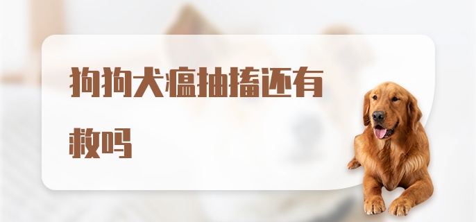 狗狗犬瘟抽搐还有救吗