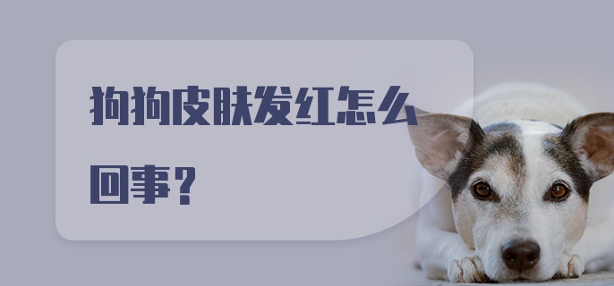 狗狗皮肤发红怎么回事？