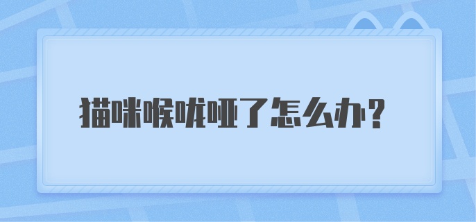 猫咪喉咙哑了怎么办?