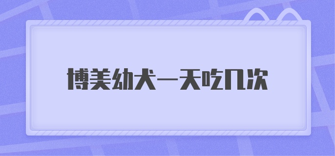 博美幼犬一天吃几次