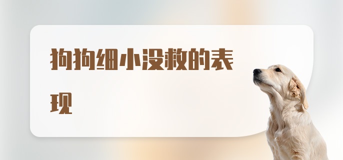 狗狗细小没救的表现