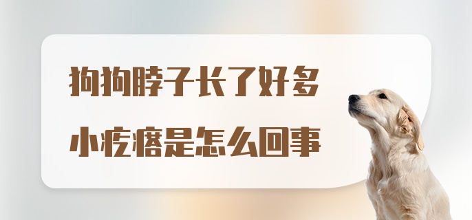 狗狗脖子长了好多小疙瘩是怎么回事