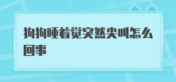 狗狗睡着觉突然尖叫怎么回事