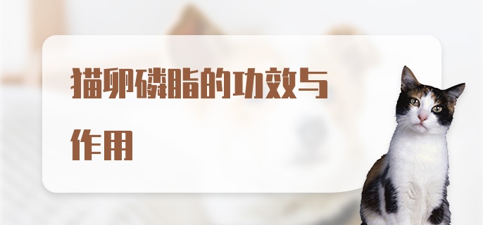 猫卵磷脂的功效与作用