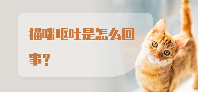 猫咪呕吐是怎么回事?