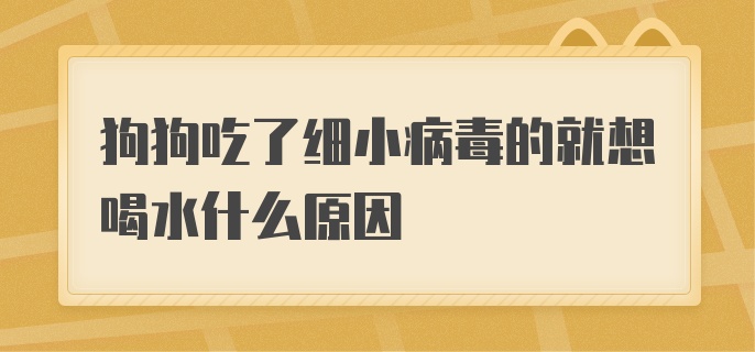 狗狗吃了细小病毒的就想喝水什么原因