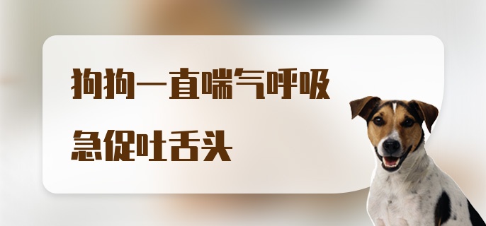 狗狗一直喘气呼吸急促吐舌头