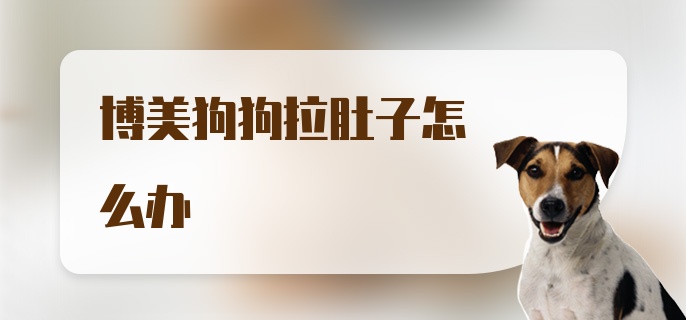 博美狗狗拉肚子怎么办