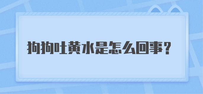 狗狗吐黄水是怎么回事?