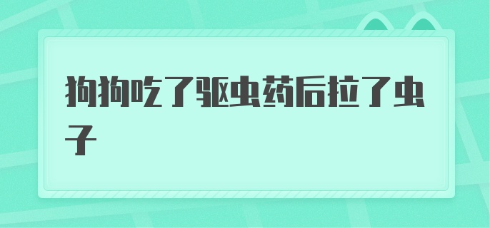 狗狗吃了驱虫药后拉了虫子