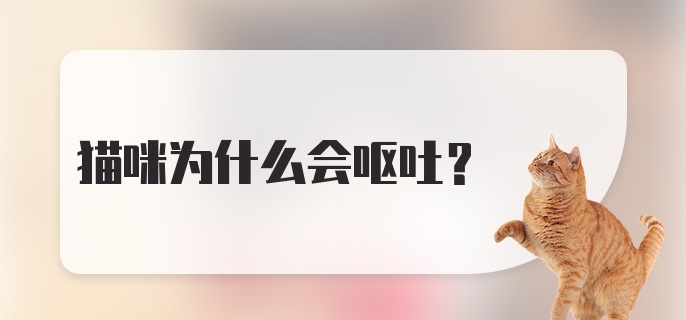 猫咪为什么会呕吐？