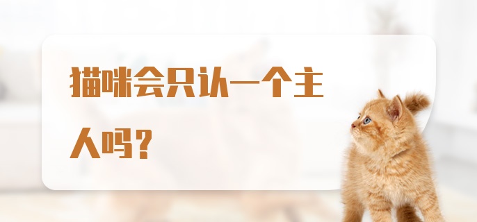 猫咪会只认一个主人吗？