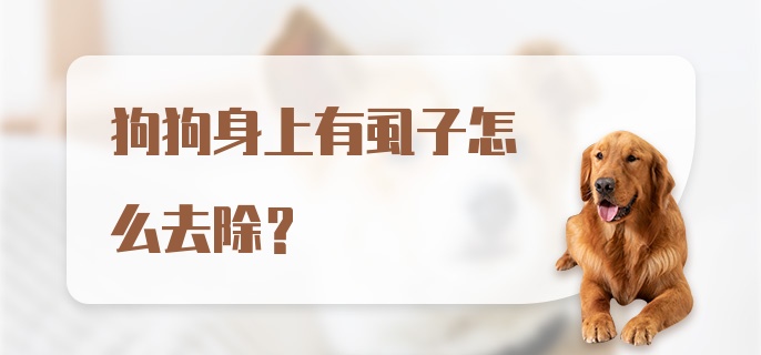 狗狗身上有虱子怎么去除？