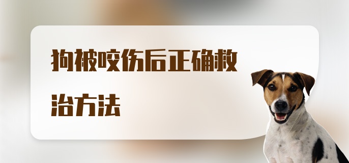 狗被咬伤后正确救治方法