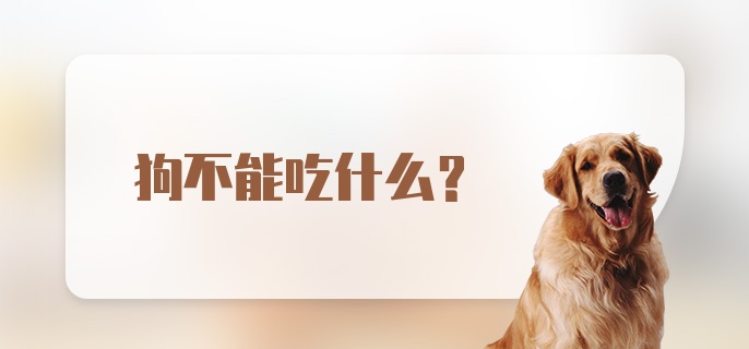 狗不能吃什么？