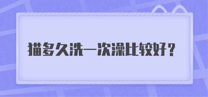 猫多久洗一次澡比较好?