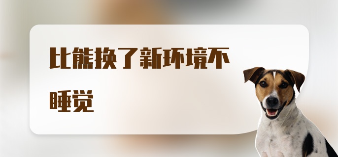 比熊换了新环境不睡觉