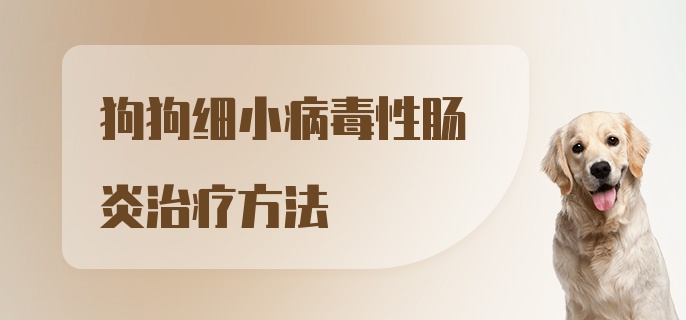 狗狗细小病毒性肠炎治疗方法