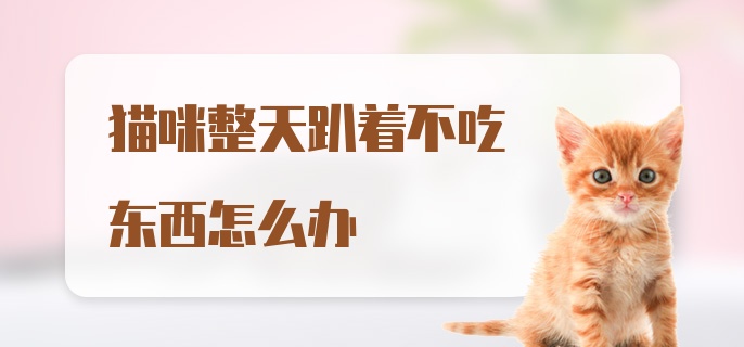 猫咪整天趴着不吃东西怎么办