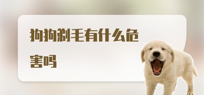 狗狗剃毛有什么危害吗