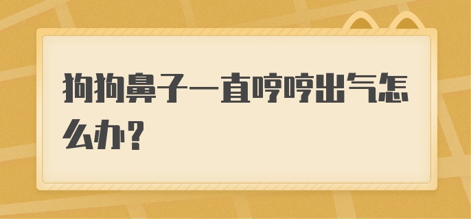 狗狗鼻子一直哼哼出气怎么办？