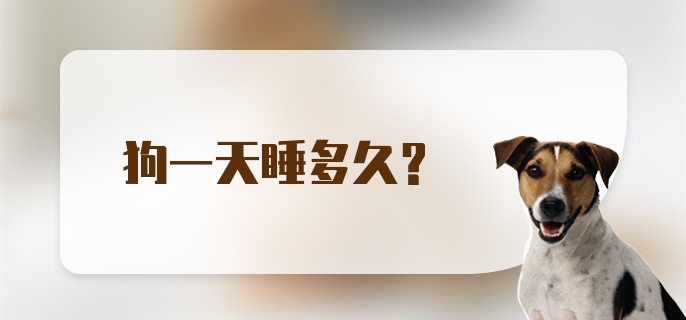 狗一天睡多久？