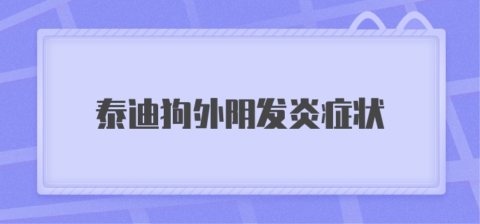 泰迪狗外阴发炎症状