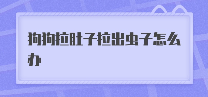 狗狗拉肚子拉出虫子怎么办