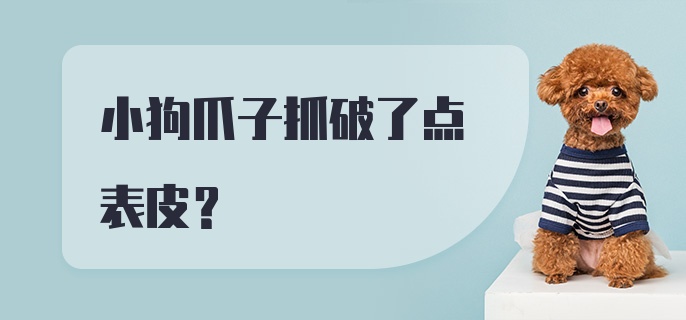 小狗爪子抓破了点表皮？