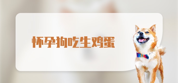 怀孕狗吃生鸡蛋