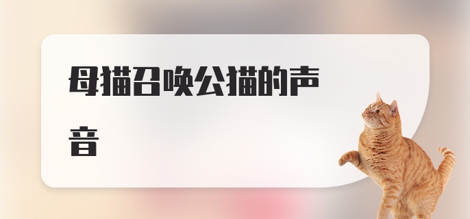 母猫召唤公猫的声音