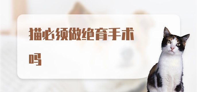 猫必须做绝育手术吗