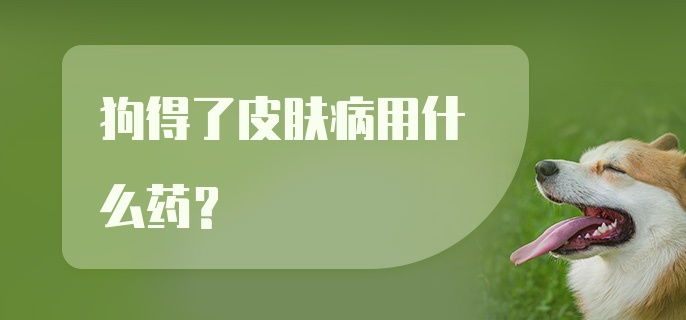 狗得了皮肤病用什么药？