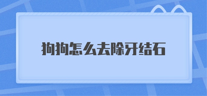 狗狗怎么去除牙结石