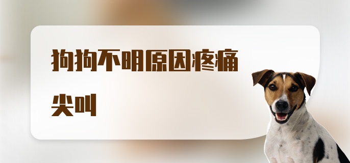 狗狗不明原因疼痛尖叫