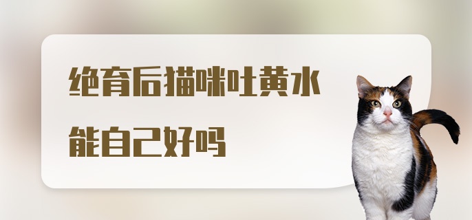 绝育后猫咪吐黄水能自己好吗