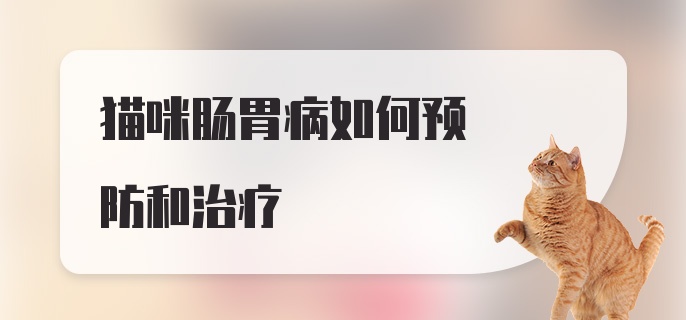 猫咪肠胃病如何预防和治疗