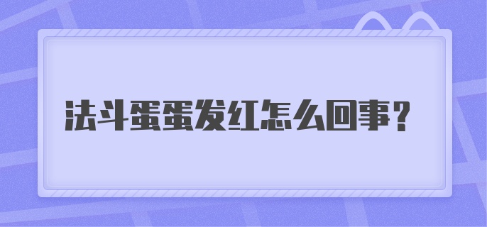 法斗蛋蛋发红怎么回事？