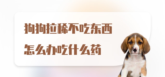 狗狗拉稀不吃东西怎么办吃什么药